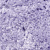24 502 582 24 502 582